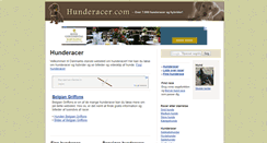 Desktop Screenshot of hunderacer.com