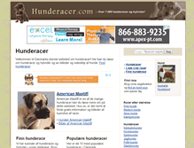 Tablet Screenshot of hunderacer.com